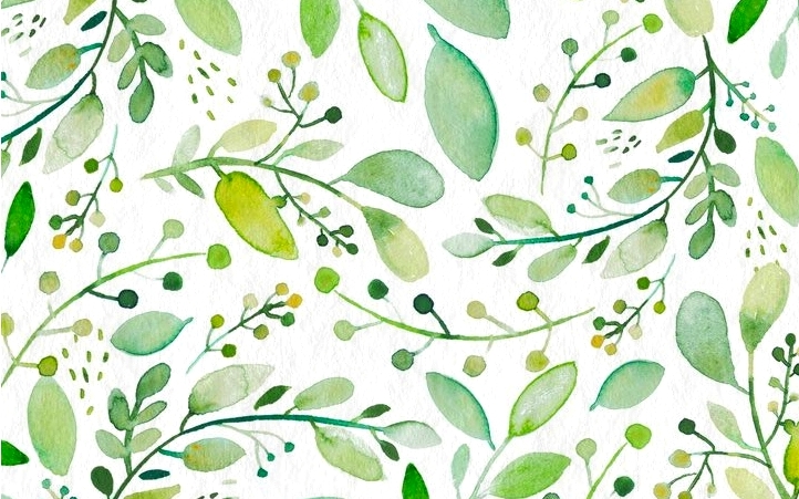 Obavijest o sudjelovanju na županijskom natjecanju iz biologije