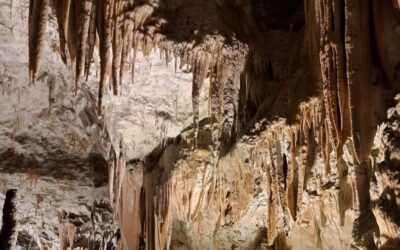 Sedmaši u Sloveniji