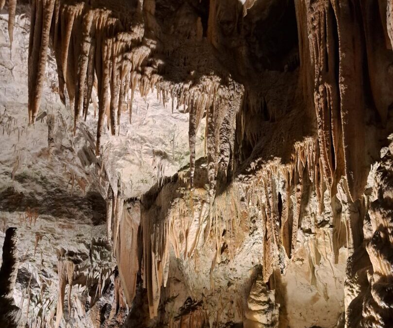 Sedmaši u Sloveniji