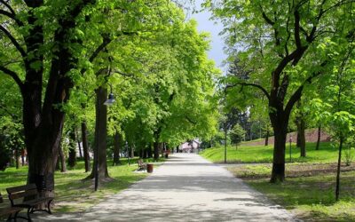 Posjet zoološkom vrtu s produženim stručnim postupkom